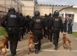 preparo-e-tecnologia:-setor-de-operacoes-especiais-da-policia-penal-completa-12-anos