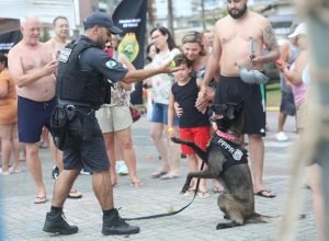 caes-da-policia-penal-reforcam-seguranca-no-litoral-durante-o-verao-maior-parana