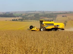 safra-de-soja-do-parana-se-aproxima-do-recorde-e-reforca-otimismo,-aponta-deral