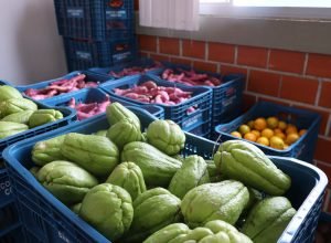 aparencia-x-qualidade:-estado-reforca-orientacoes-para-evitar-desperdicio-de-alimentos