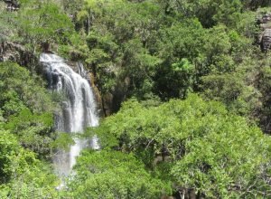 estado-divulga-relacao-final-de-reservas-naturais-do-edital-de-creditos-de-biodiversidade