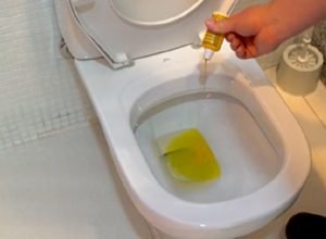 sanepar-inicia-vistorias-tecnicas-em-irati-para-orientar-sobre-ligacao-de-esgoto