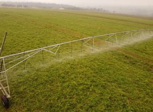 estado-encaminha-a-alep-projeto-que-garante-implementacao-do-programa-de-seguranca-hidrica