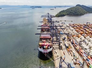 porto-de-paranagua-concentra-quase-metade-das-exportacoes-de-frango-do-brasil