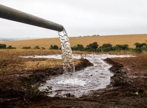 dia-mundial-da-agua-tera-plantio-de-mudas,-limpeza-de-rios-e-oficinas-educativas