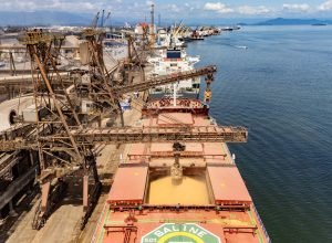 soja-e-carnes-lideram-exportacoes-pelos-portos-paranaenses-no-1o-bimestre