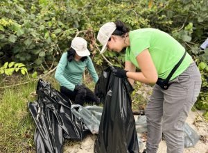 mutirao-da-portos-do-parana-recolhe-quase-200-kg-de-residuos-em-manguezais