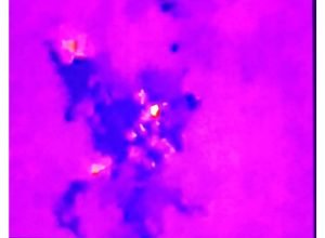 corpo-de-bombeiros-resgata-homem-desaparecido-ha-dois-dias,-em-morretes