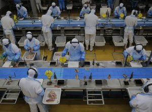 com-saldo-de-21-mil-postos-de-trabalho,-parana-fica-entre-os-lideres-em-criacao-de-empregos