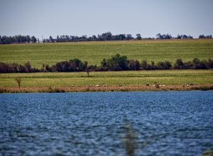 quatro-comites-de-bacias-hidrograficas-se-reunem-para-discutir-a-gestao-da-agua-no-parana