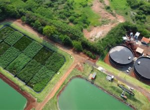 sanepar-e-finalista-da-categoria-campeoes-do-ods-6-no-global-water-awards,-o-oscar-da-agua