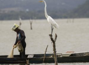 mudancas-aprovadas-para-o-seguro-defeso-previnem-fraudes,-diz-relator