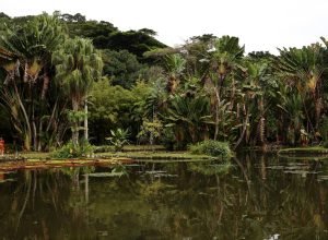 viva-maria-discute-o-papel-do-jornalismo-na-preservacao-ambiental