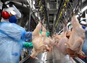 perto-do-trilhao:-vendas-de-empresas-do-parana-para-outros-estados-crescem-211%-em-sete-anos
