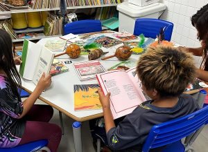 parana-e-o-estado-com-o-maior-numero-de-escolas-com-bibliotecas;-rede-estadual-tem-obras-raras