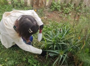 estudantes-da-rede-estadual-se-mobilizam-para-implantar-ecoponto-em-sao-jose-dos-pinhais