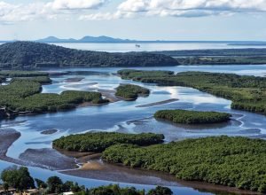 iat-leva-inovacao-ambiental-e-adaptacao-climatica-para-o-fitcataratas-2026