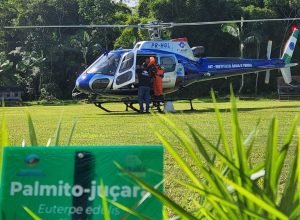 iat-faz-dispersao-de-700-mil-sementes-de-palmito-jucara-para-restaurar-a-mata-atlantica