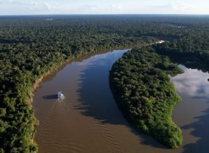 reino-unido-se-torna-o-segundo-maior-doador-do-fundo-amazonia
