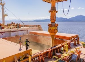 exportacoes-crescem-28,8%-nos-portos-do-parana-e-impulsionam-movimentacao-em-maio