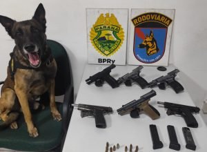 pmpr-apreende-seis-pistolas-em-onibus-em-operacao-de-combate-ao-trafico-de-armas-em-pirai-do-sul