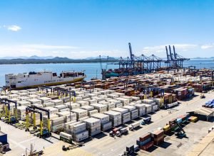 porto-de-paranagua-responde-por-quase-50%-das-exportacoes-brasileiras-de-frango