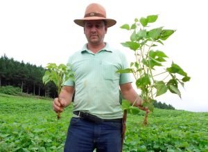 em-novo-edital,-sanepar-disponibiliza-1,5-mil-toneladas-de-biossolido-para-a-agricultura