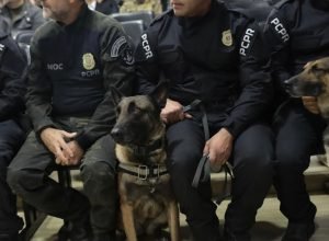 policia-civil-do-parana-apreende-armas-e-haxixe-na-rodoviaria-de-curitiba