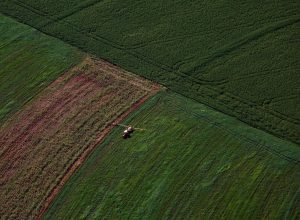 vbp-agropecuario-do-parana-cresce-13%-e-alcanca-r$-212,6-bilhoes-em-2025