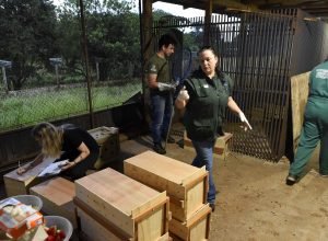 novo-canal-do-iat-registrou-mais-de-2,8-mil-denuncias-de-crimes-ambientais-em-4-meses
