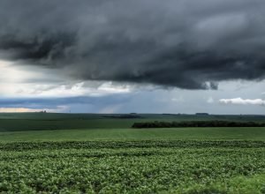 simepar-analisa-se-tornado-atingiu-comunidade-da-cidade-de-reserva-no-domingo