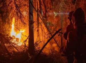 brasil-tem-queda-de-14%-na-quantidade-de-focos-de-queimadas-em-junho