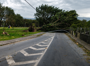 ventos-fortes-matam-tres-pessoas-em-sao-paulo