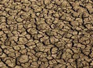 el nino:-entenda-o-fenomeno-que-intensifica-os-fenomenos-climaticos