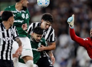 botafogo-segura-palmeiras-e-ajuda-flamengo,-novo-lider-do-brasileirao