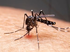 mudancas-climaticas-ja-causam-aumento-de-doencas-infecciosas-no-pais
