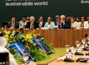 ministros-de-meio-ambiente-do-brics-se-reunem-em-brasilia