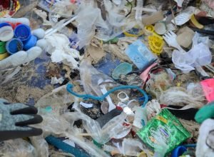 operacao-expurgo-reprime-crimes-ambientais-na-zona-portuaria-do-rio