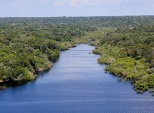 nova-etapa-do-projeto-restaura-amazonia-e-lancado-durante-atl