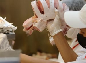santa-feira-do-peixe-comeca-nesta-terca-feira-em-sao-paulo