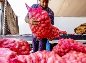 preco-da-cesta-de-produtos-da-pascoa-tem-queda-de-0,4%-no-pais