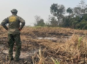 brasil-registra-queda-de-70%-em-area-queimada-no-primeiro-trimestre