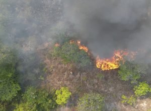 governo-lanca-campanha-de-prevencao-a-incendios-florestais-na-amazonia