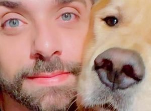 apos-caso-joca,-senado-aprova-regras-para-transporte-aereo-de-animais