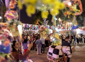 tv-brasil-tera-programacao-especial-das-festas-de-sao-joao
