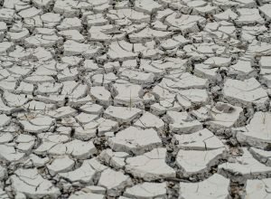 seca-se-intensifica-no-nordeste;-29%-do-territorio-registra-seca-grave