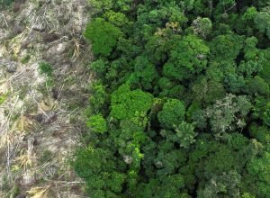 brasil-conta-com-novo-centro-de-pesquisas-para-recuperacao-da-amazonia