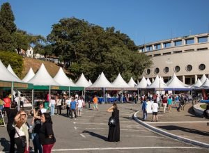rio-publica-editais-literarios-com-investimento-de-r$-10-milhoes