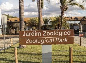 zoologico-de-brasilia-reabre-ao-publico-apos-casos-de-gripe-aviaria