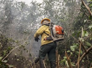 combate-a-incendios-florestais-podem-ter-recursos-do-fundo-amazonia